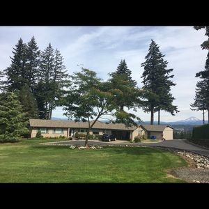 Meet your Posher, Janie